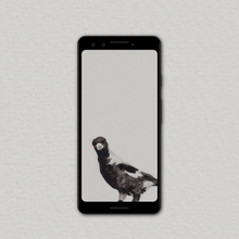 Load image into Gallery viewer, Magpie Wallpapers