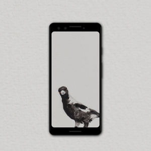 Magpie Wallpapers